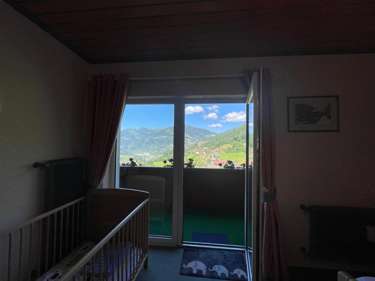 Landhaus Schoenblick رادينثين المظهر الخارجي الصورة